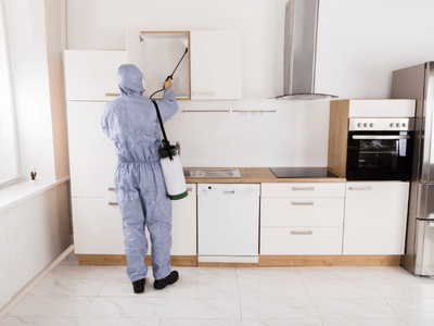 About Little Rock Organic Pest Control - organic pest control experts in Little Rock