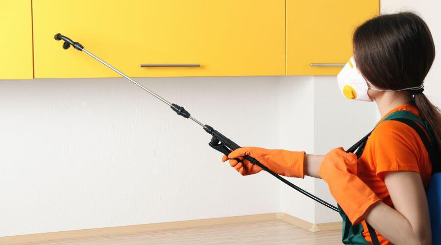 Why choose Little Rock Organic Pest Control for organic pest control in Little Rock